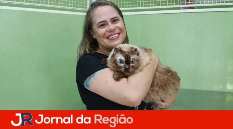 debea adocao pet