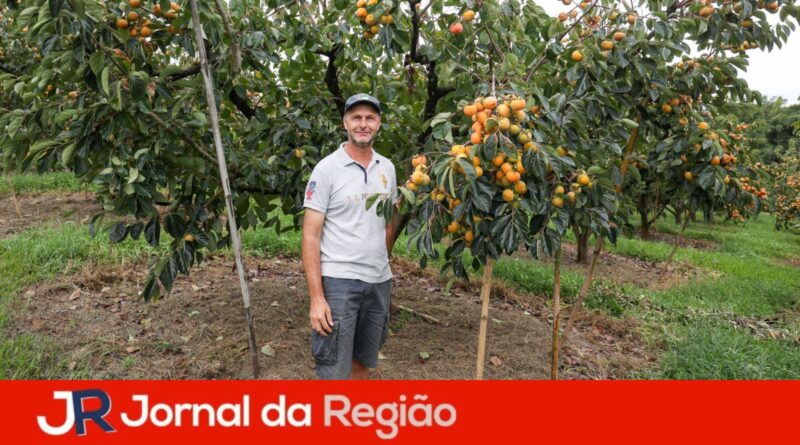 JR Novo 11