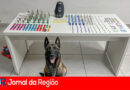 WhatsApp Image 2024 04 17 at 20.21.06 1 copiar