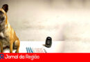 WhatsApp Image 2024 04 20 at 08.02.57 copiar 2