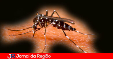 Várzea Paulista registra queda de 92,9% nos casos de dengue em 2026