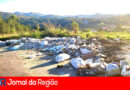LIXO CRIME AMBIENTAL copiar
