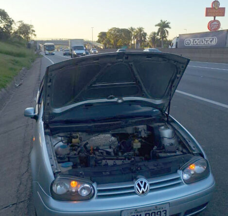 carro leila 2