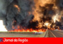FOGO EM MATO INCENDIO BOMBEIROS