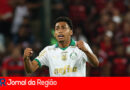 LUIGHI PALMEIRAS copiar