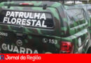 VIATURA GUARDA FLORESTAL