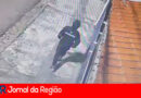 WhatsApp Video 2024 08 01 at 12.43 copiar 2