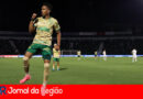estevao palmeiras copiar