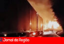 WhatsApp Image 2024 09 09 at 20.15.05 copiar