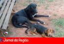 WhatsApp Image 2024 10 06 at 11.33.04 copiar