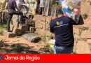 amigos da sacolinha copiar