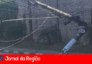 WhatsApp Image 2024 11 28 at 14.04.47 copiar