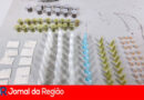 WhatsApp Image 2024 12 13 at 11.31.25 copiar