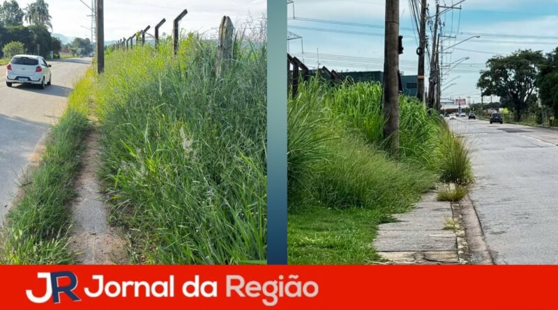 mato medeiros