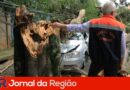 queda de arvores itatiba