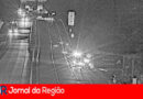 roubo vinhedo copiar