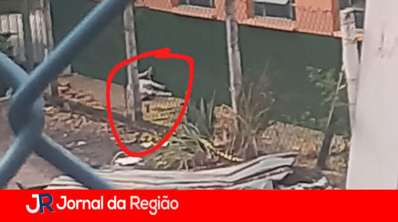 ATAQUE DE CACHORRO JUNDIAI copiar