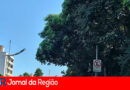 SEMAFORO ESCONDIDO copiar