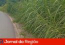 rio acima