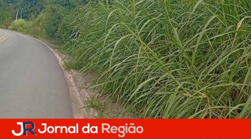 rio acima