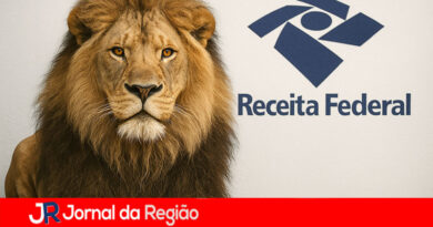 LEAO DO IMPOSTO DE RENDA RECEITA FEDERAL copiar