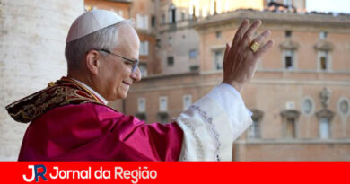 papa leao 14 copiar