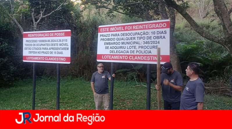 lote clandestino copiar
