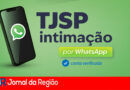 intimacoes por whatsapp copiar