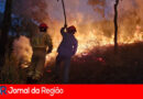 BOMBEIROS COMBATENDO FOGO copiar