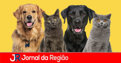 Alckmin sanciona guarda compartilhada de animais de estimação após separação de casais