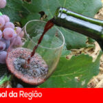 Jundiaí recebe Festival Folclores do Mundo e Dia do Vinho