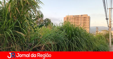 Donos de imóveis têm prazo de 15 dias para arrumar calçadas e cortar matos, em Jundiaí