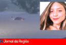 CARRO HORTOLANDIA copiar
