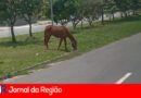 WhatsApp Image 2025 11 01 at 11.17.03 copiar