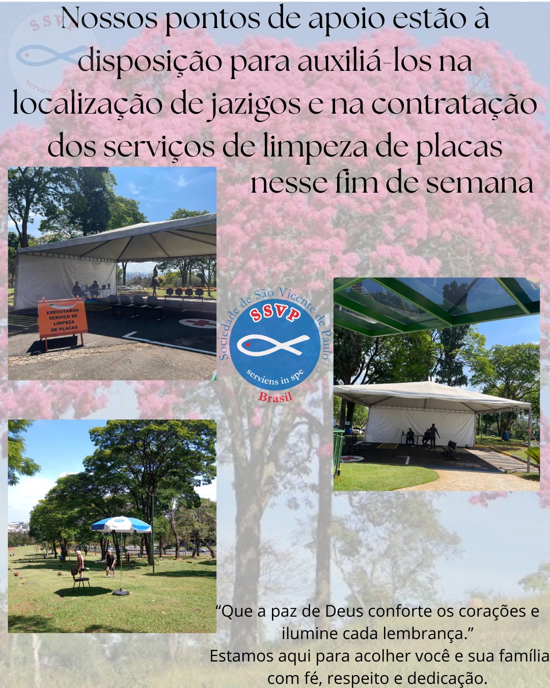 WhatsApp Image 2025 11 01 at 12.04.55