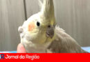 WhatsApp Image 2025 11 02 at 11.08.28 copiar