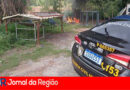 fogo em mato copiar