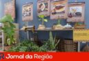 zumbiteca