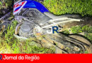 WhatsApp Image 2025 12 14 at 06.42.28 1 copiar