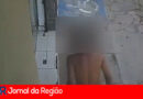 pelado copiar 2