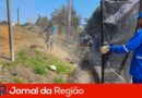 corte de mato jundiai