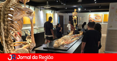 MUSEU DO CORPO HUMANO copiar