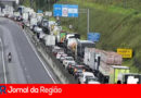 TAMOIOS INTERDITADA copiar