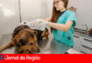 DEBEA JUNDIAI copiar