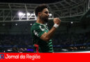 FLACO PALMEIRAS copiar