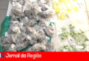 WhatsApp Image 2026 03 02 at 13.13.13 copiar