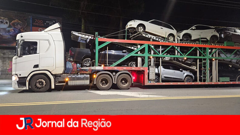 cegonha roubada copiar