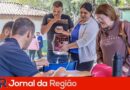 castracao gato