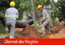 obra dae