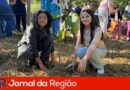 plantio de muda mato dentro